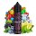 Flavorist - Maroc Mint Dark Berry Longfill 10 ml