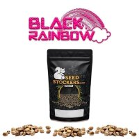 Black Rainbow Fem