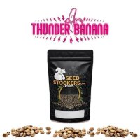 Thunder Banana Fem