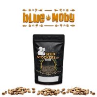 Blue Moby Auto