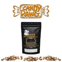 Candy Dawg Auto