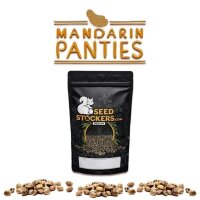 Mandarin Panties Auto