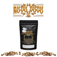 Rucu Cucu OG Auto