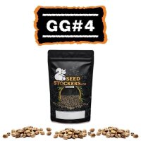 GG#4 Auto