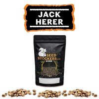 Jack Herer Auto