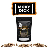 Moby Dick Auto