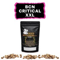 BCN Critical XXL Fem