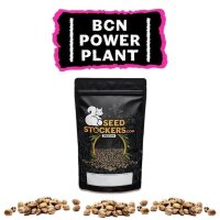 BCN Power Plant Fem
