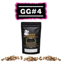 GG#4 Fem