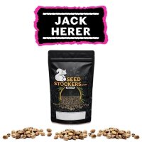 Jack Herer Fem
