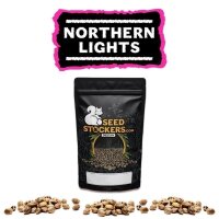 Nothern Lights Fem