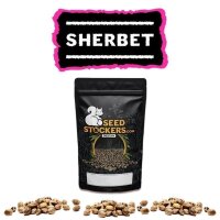 Sherbet Fem